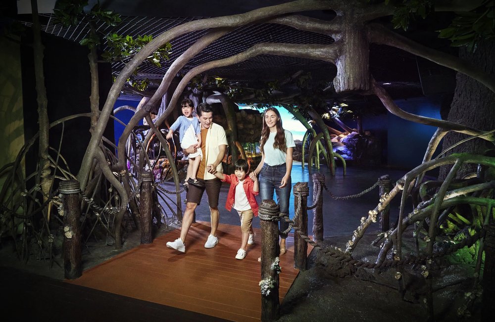 Rainforest Adventure - Cuộc Phiêu Lưu Rừng Mưa Nhiệt Đới