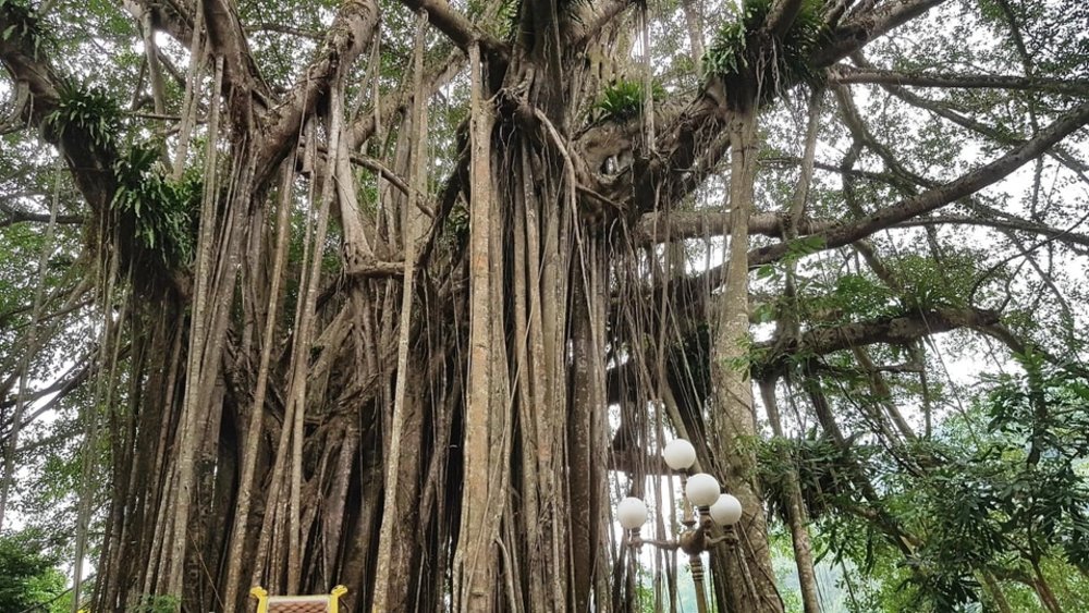 Cụm Tâm Linh Chiêm Bái Ở Thung Nham