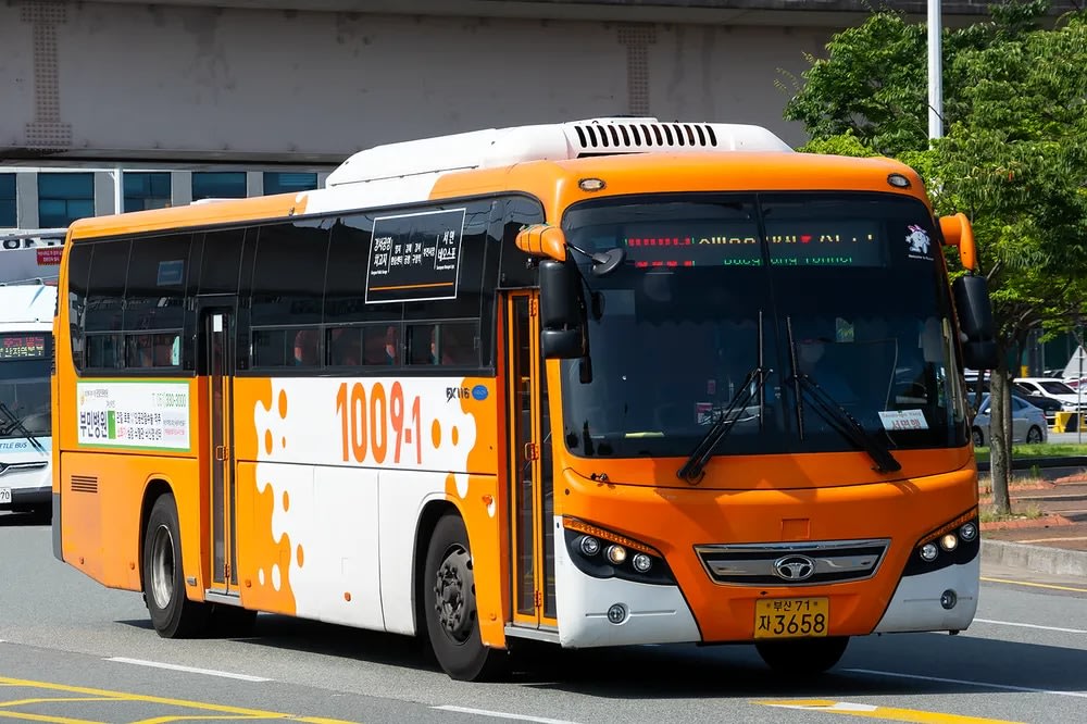 Khi Nào Nên Chọn Xe Buýt Công Cộng Từ Sân Bay Gimhae Về Trung Tâm Busan?