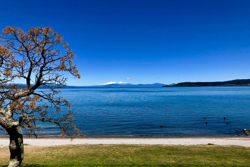 Tận Hưởng Không Gian Thơ Mộng Bên Hồ Lake Taupo