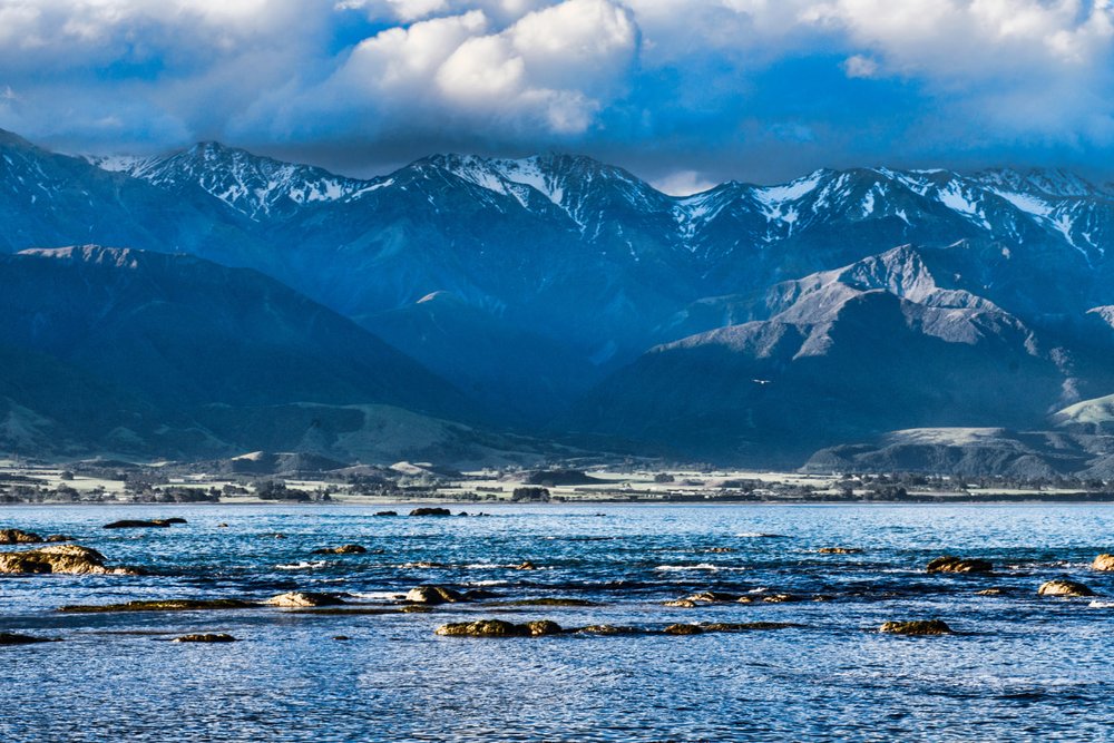 Trải Nghiệm Ngắm Cá Voi Ở Kaikoura