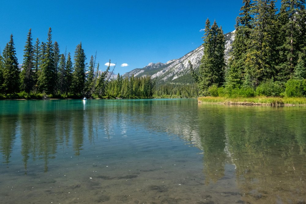 Khám Phá Thiên Nhiên Tuyệt Tác Tại Fiordland National Park