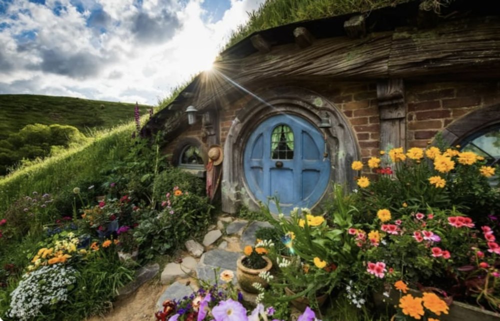 Trải Nghiệm Ngắm Cá Voi Ở Kaikoura