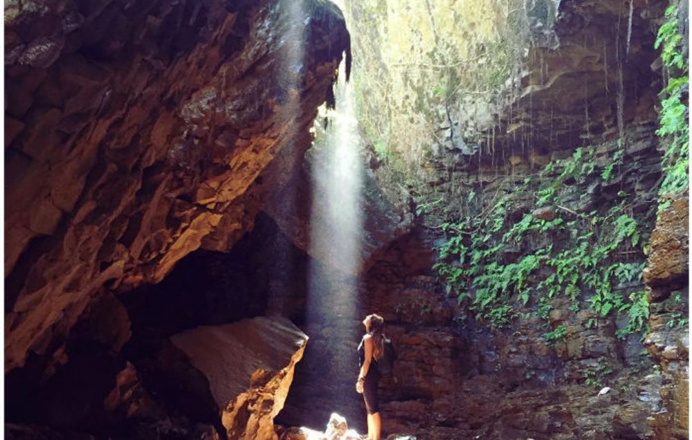 Khám Phá Hang Dơi Thần Bí