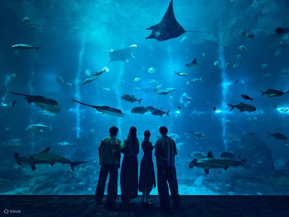 Ghé Thăm Thủy Cung Singapore Oceanarium (Tên Cũ Là S.E.A Aquarium) 