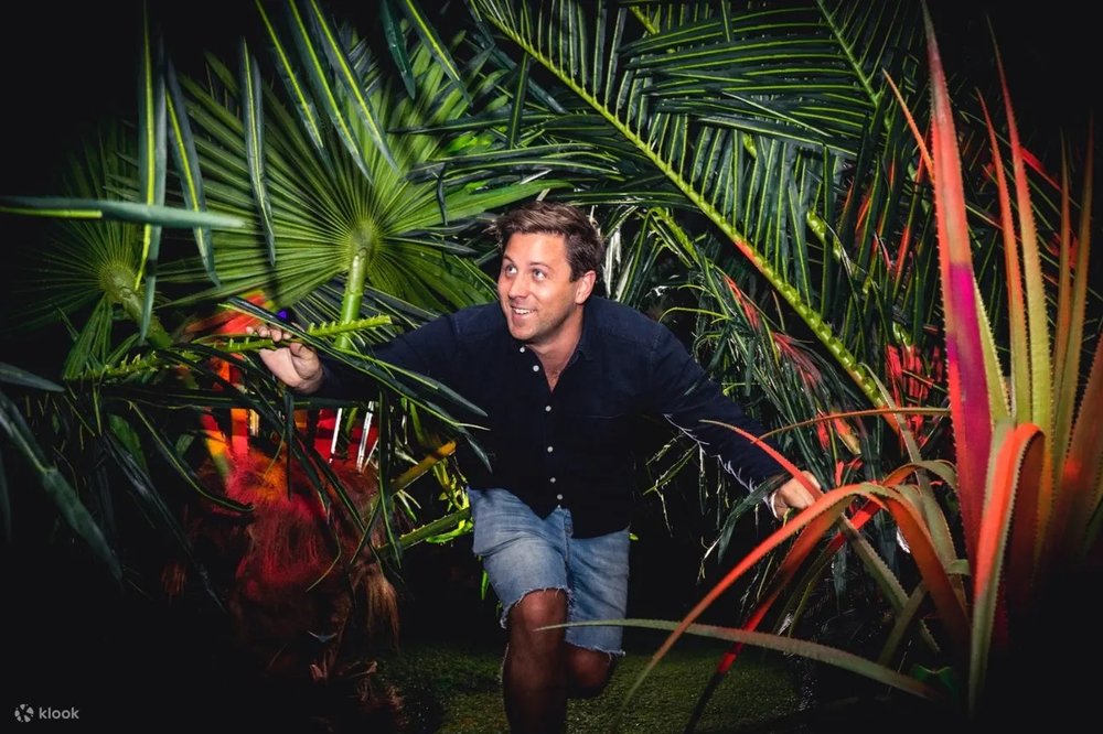 Odyssey Sensory Maze - Thế Giới Ảo Giác Giữa Lòng Auckland