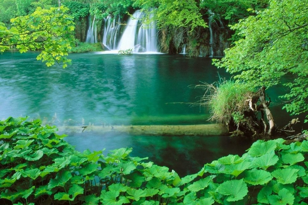 Cách Di Chuyển Đến Vườn Quốc Gia Phú Quốc