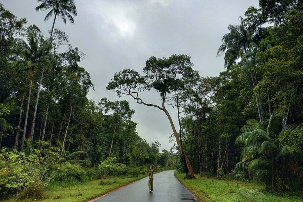 Khám Phá Hệ Sinh Thái Rừng Và Biển Phong Phú