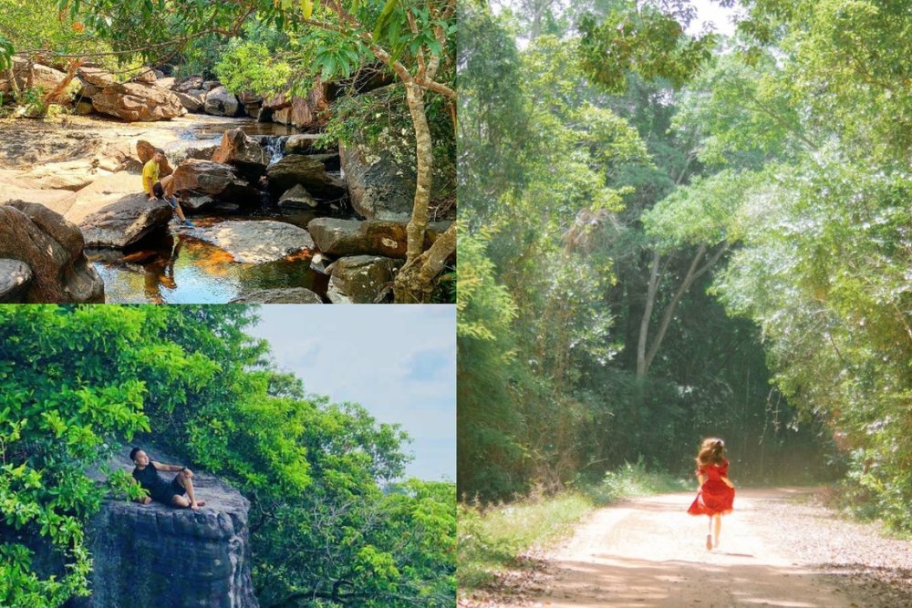 Vườn Quốc Gia Phú Quốc Có Gì Chơi?