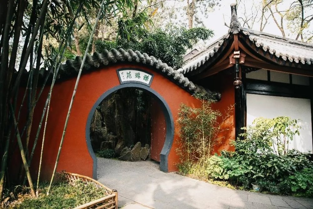 SG - The Ultimate 7D6N Chengdu Itinerary for First-Timers