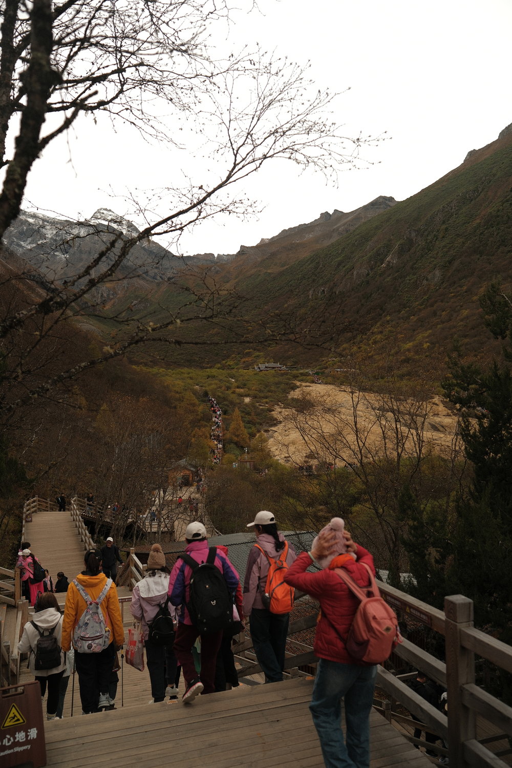 SG - The Ultimate 7D6N Chengdu Itinerary for First-Timers