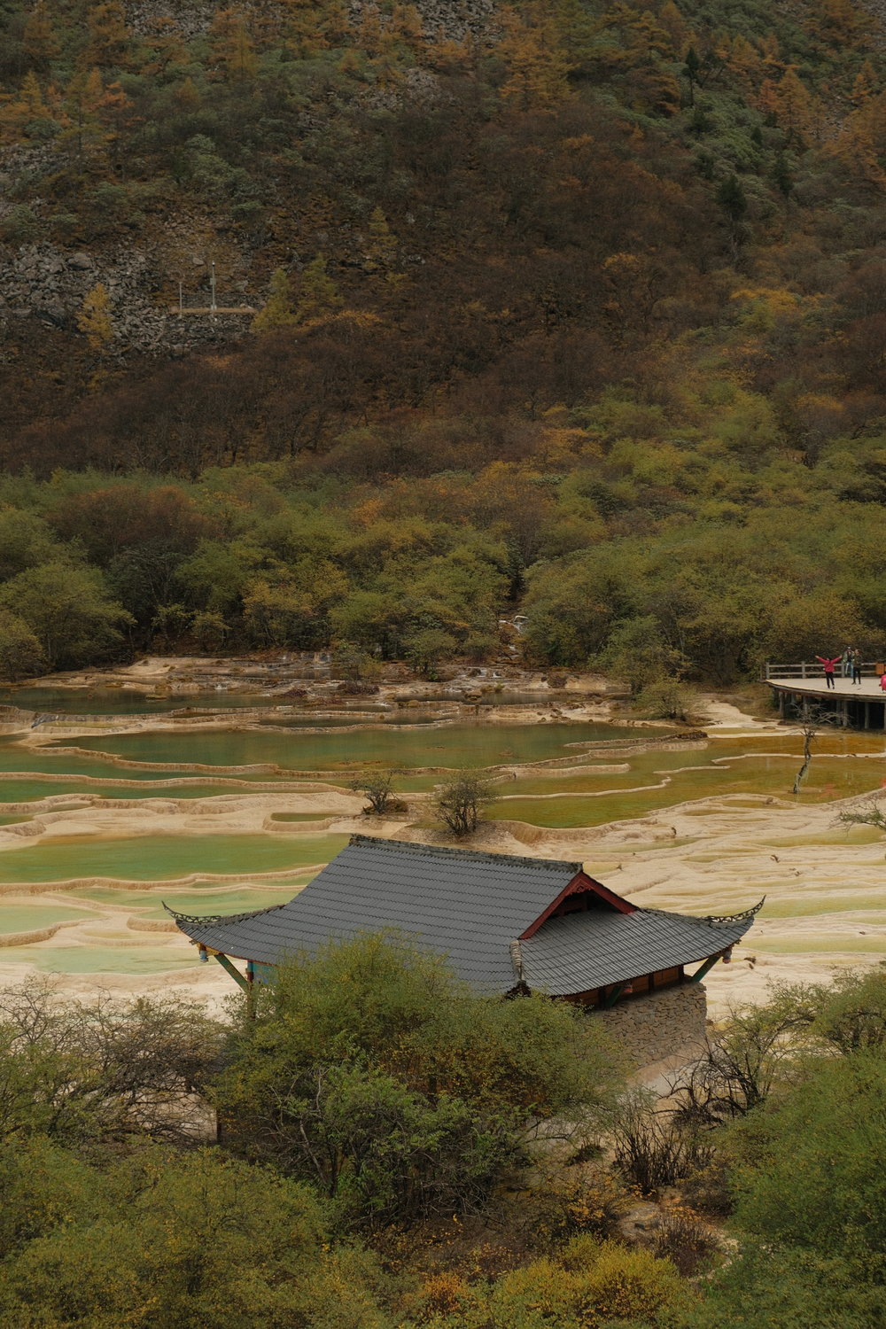 SG - The Ultimate 7D6N Chengdu Itinerary for First-Timers