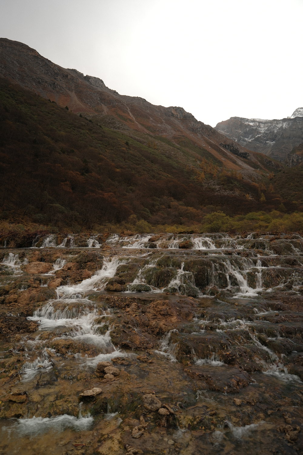 SG - The Ultimate 7D6N Chengdu Itinerary for First-Timers