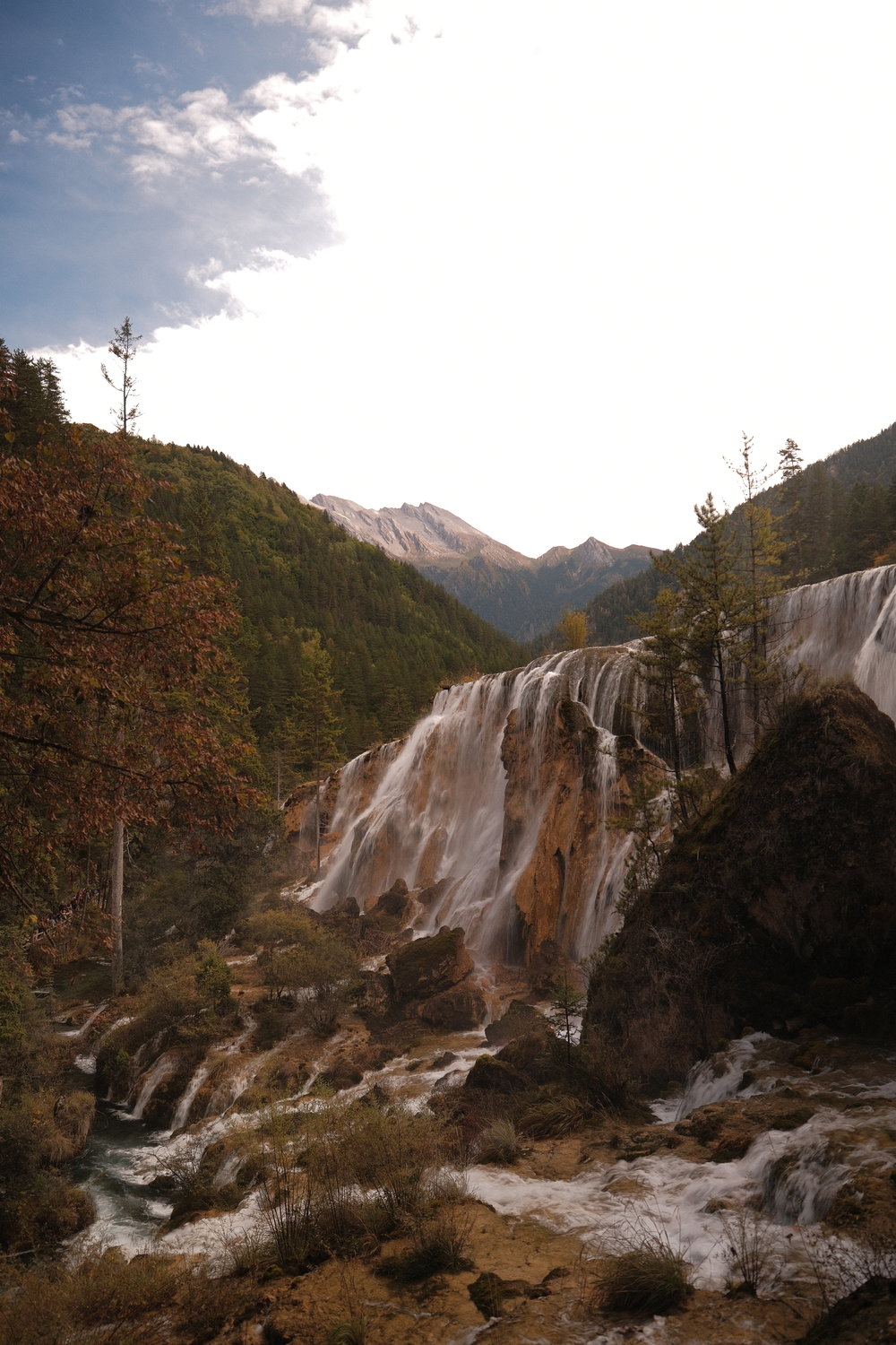 SG - The Ultimate 7D6N Chengdu Itinerary for First-Timers