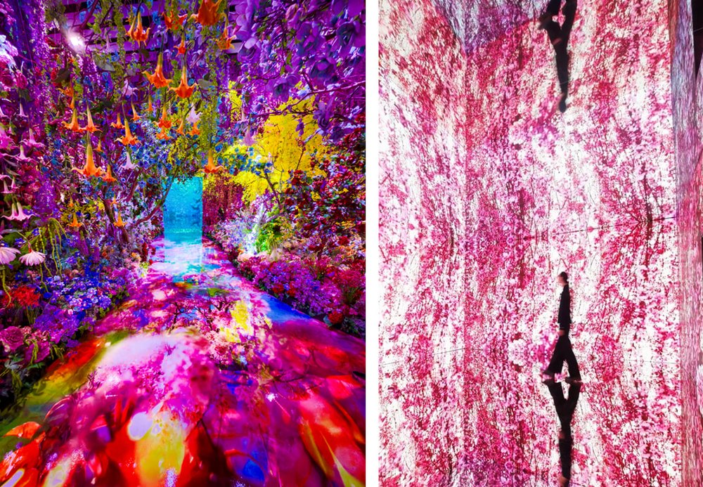 台北展覽#10 蜷川實花展with EiM：彼岸之光，此岸之影