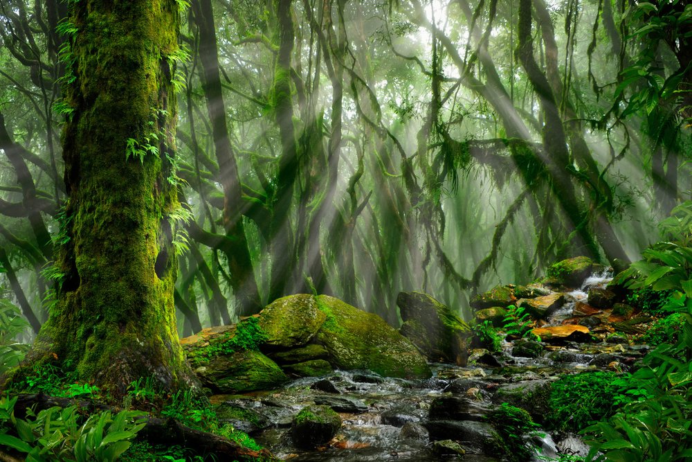 Cách Di Chuyển Đến Vườn Quốc Gia Phú Quốc