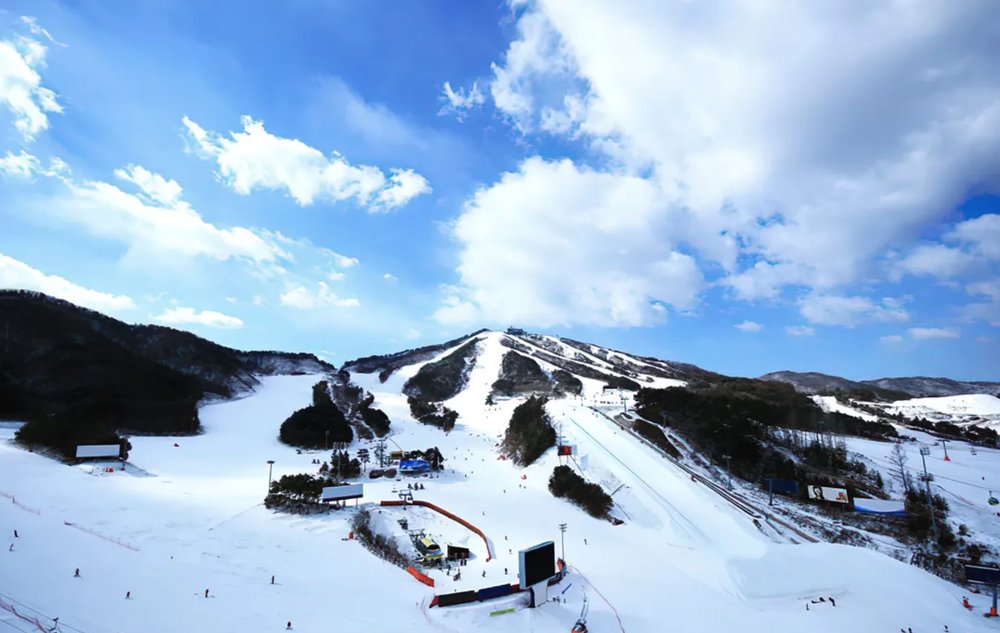 Welli Hilli Park Bird's Eye View