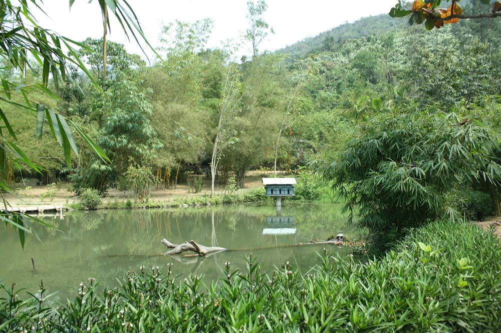 Sơn Trà Tịnh Viên: Chốn Thiền Định Ẩn Mình Trên Bán Đảo Sơn Trà