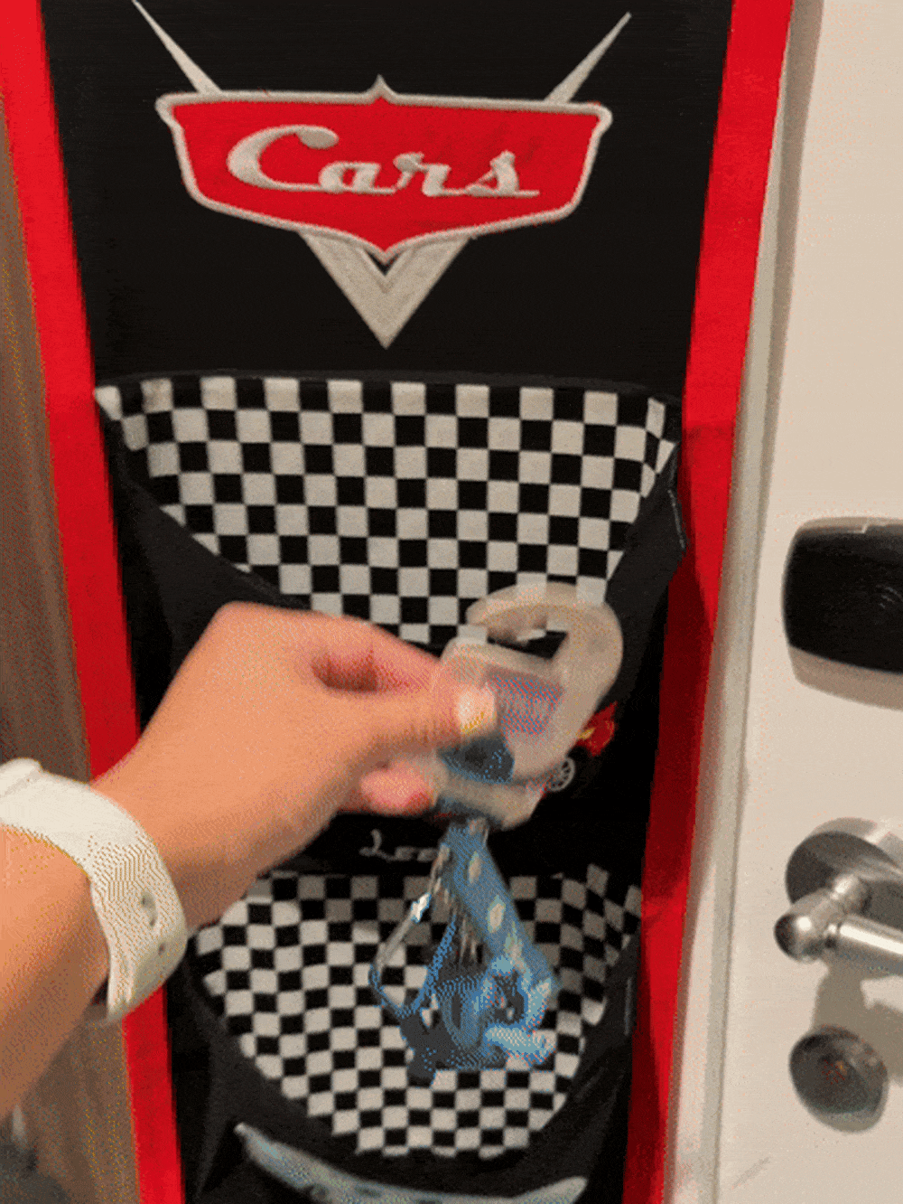 本片段取景自佛罗里达的Disney Wish