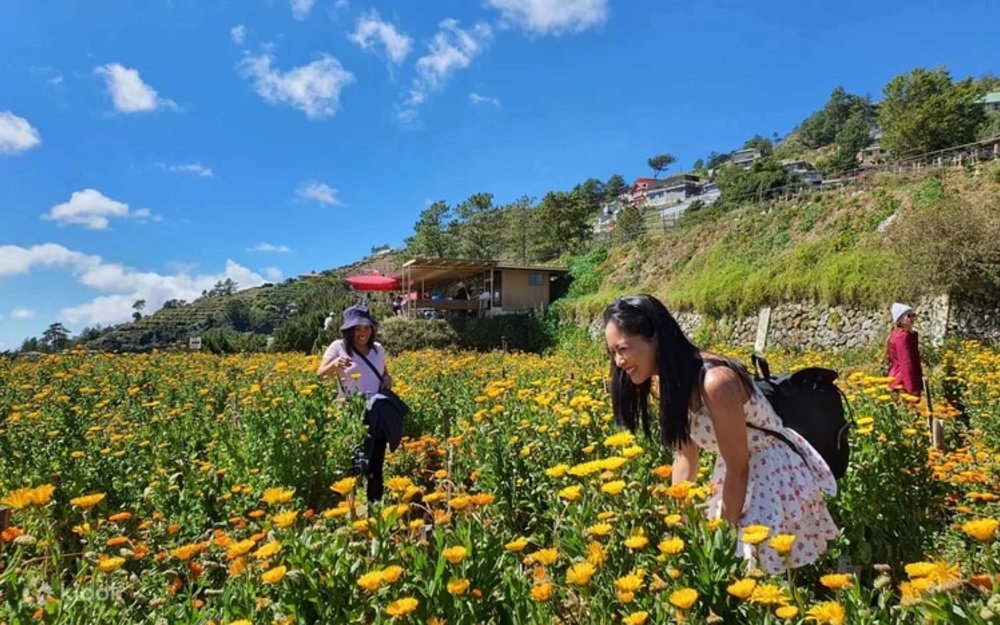 Atok Gardens Day Tour