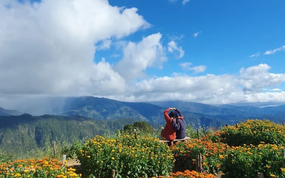 Atok Gardens Day Tour
