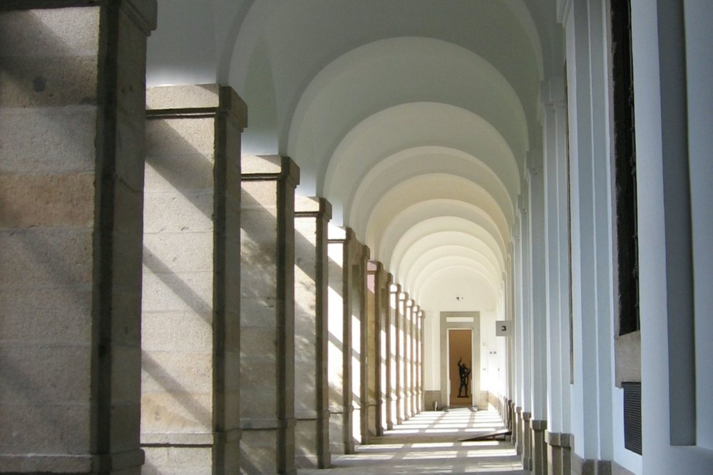 Sunlight seeps through the gaps in a hallway