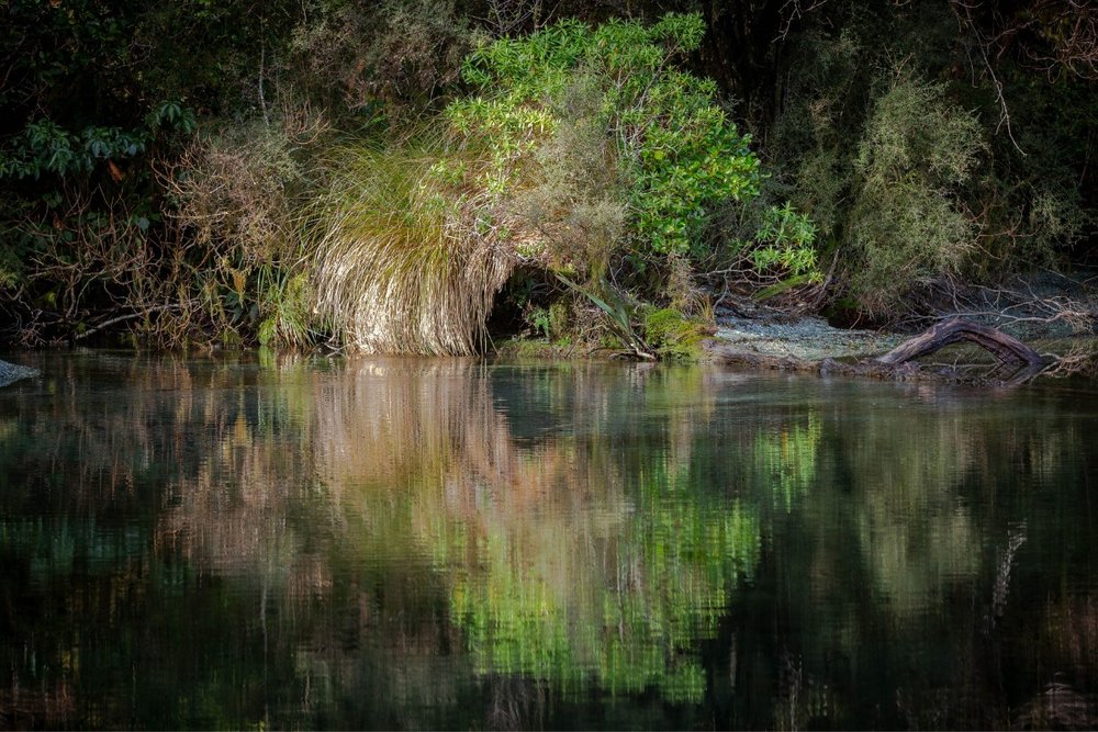 Vịnh Hẹp Doubtful Sound – Kỳ Quan Không Thể Bỏ Lỡ