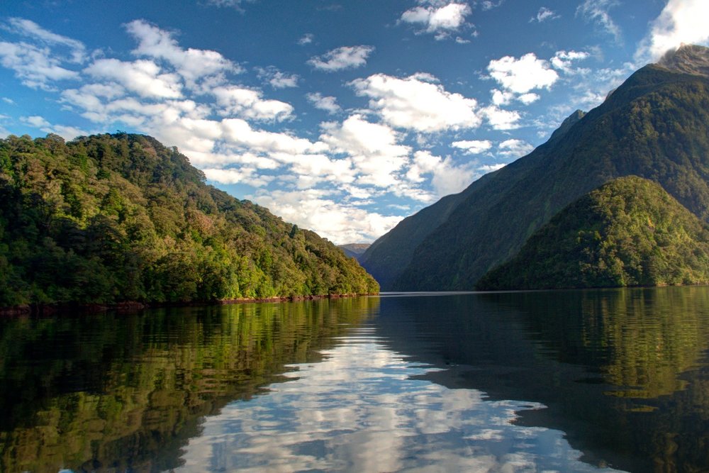 Vịnh Hẹp Doubtful Sound – Kỳ Quan Không Thể Bỏ Lỡ