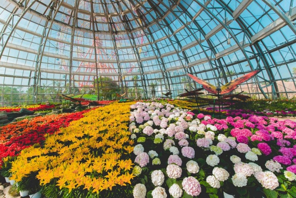 Buổi Sáng - Khám Phá Đồi Vạn Hoa Và Vườn Nhật