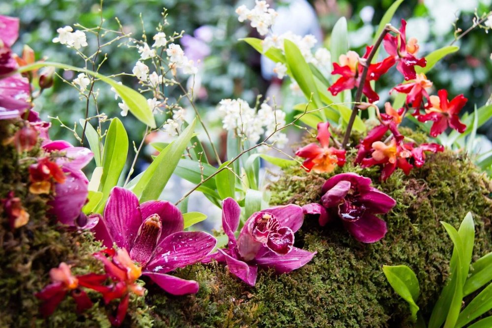 09h00 - 15h30: Trải Nghiệm Tour Ngày Vịnh Nha Phu