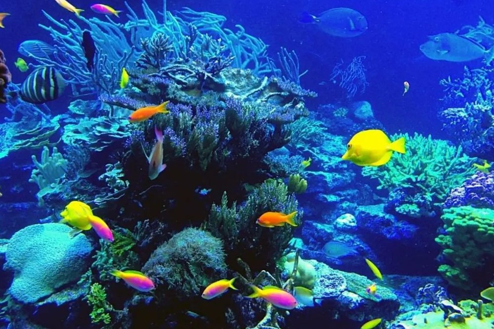 Buổi Sáng - Trả Phòng Khách Sạn Và Khám Phá Thành Phố