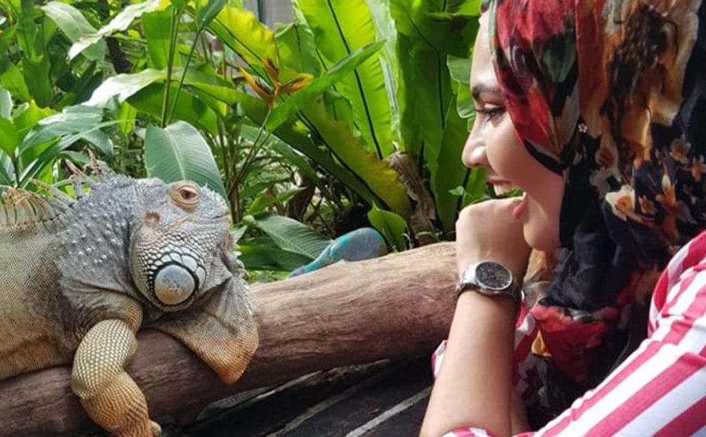 Butterfly Park & Insect Kingdom