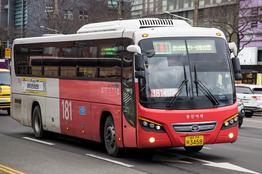 Bus 181 Express – Khám Phá Trọn Vẹn Bắc Nam Đảo Jeju