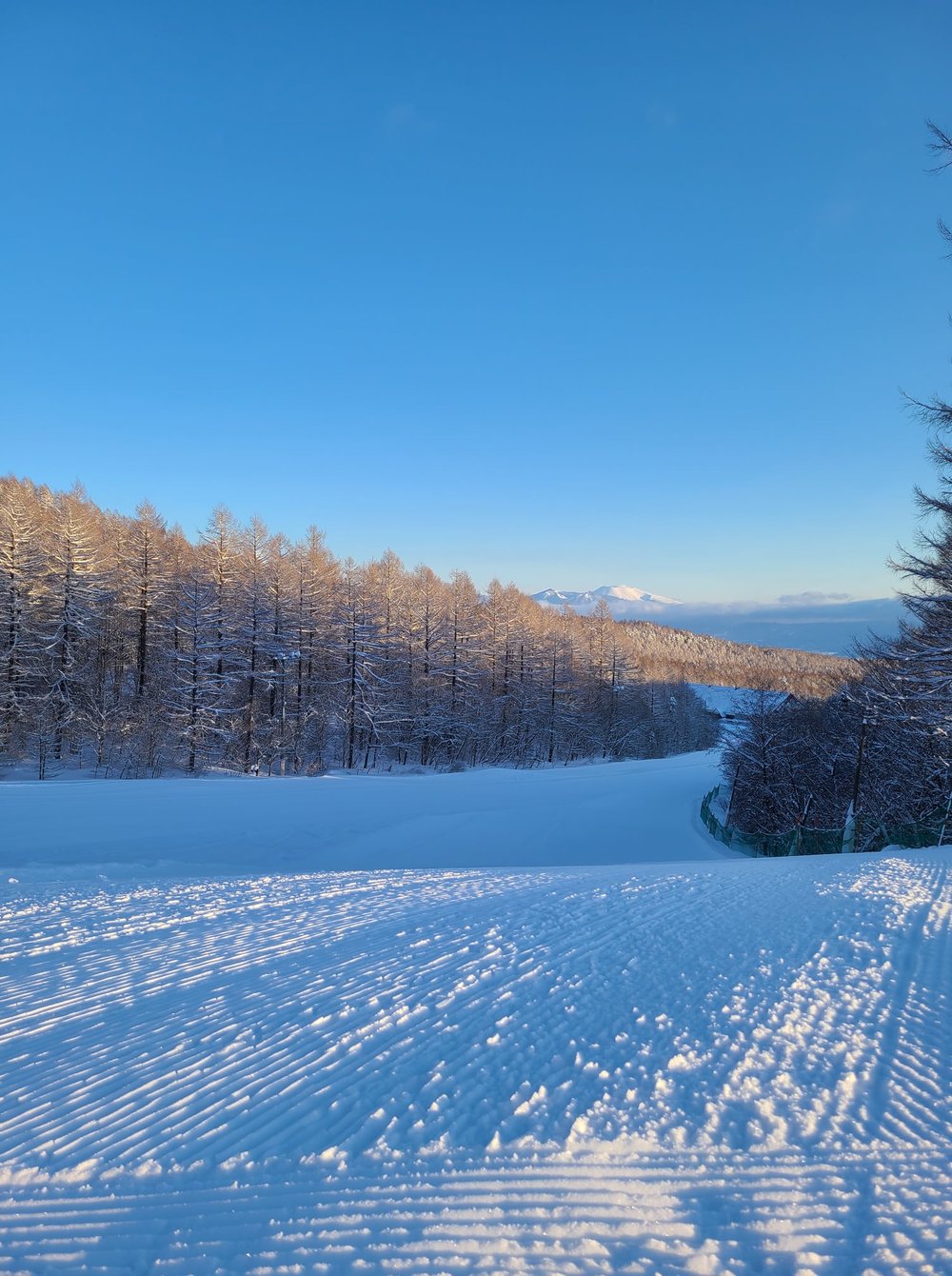 富士山滑雪場