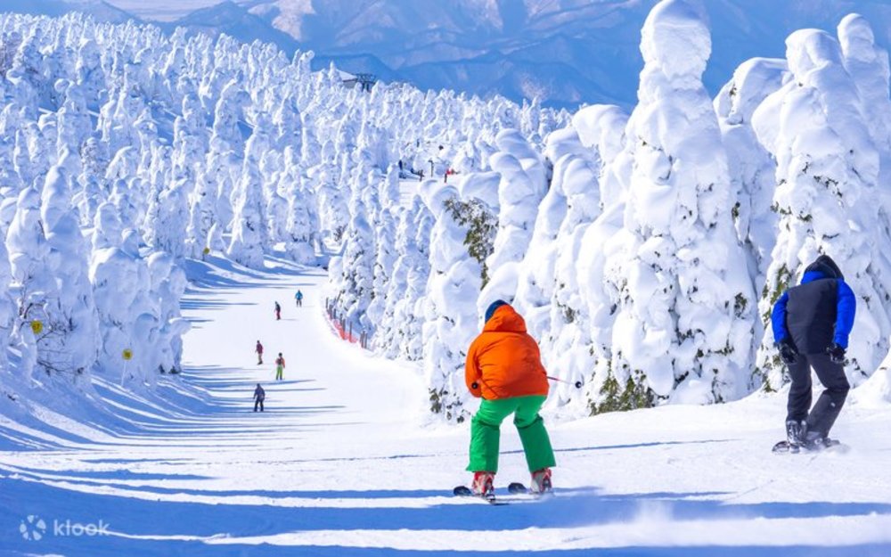 藏王溫泉滑雪場,仙台滑雪場