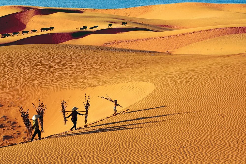 Khám Phá Đồi Cát Bay: "Sống Ảo" Cực Chất