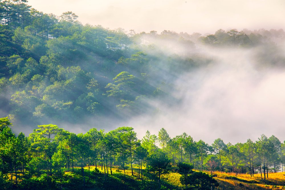 Đà Lạt - Thành Phố Ngàn Hoa