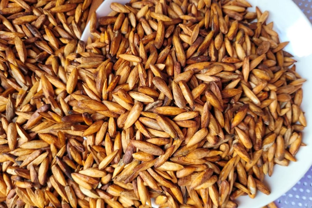 Mứt Hạt Bàng Côn Đảo - Hương Vị Độc Đáo Chỉ Có Ở Đảo Thiêng