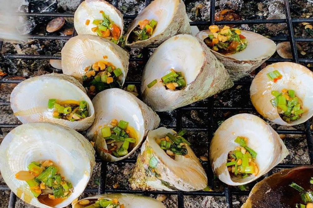 Ốc Vú Nàng Côn Đảo - Đặc Sản Độc Đáo Gây Tò Mò Cho Mọi Thực Khách
