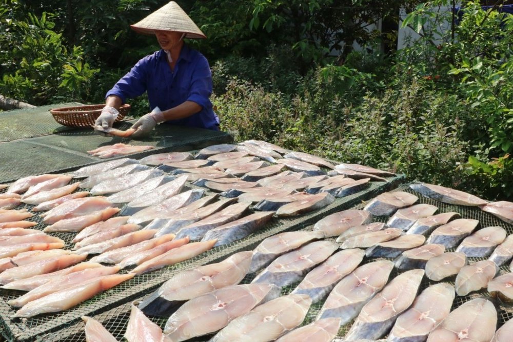 Cá Thu Một Nắng Côn Đảo - Đặc Sản Khô Ngọt Thịt, Đậm Đà Hương Biển