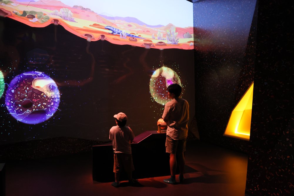 curiosity cove singapore