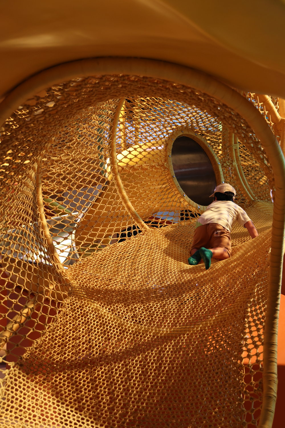 curiosity cove singapore