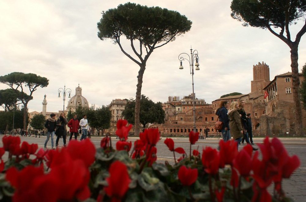 Red spring flowers with people walking near Trajan’s Market in Rome