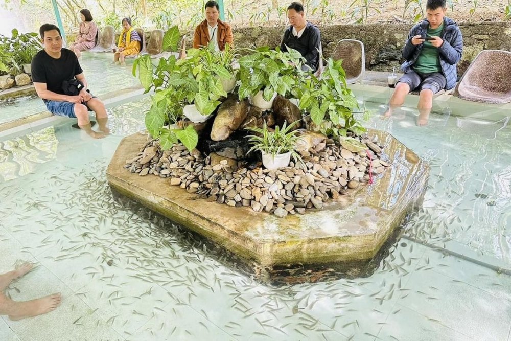 Massage Cá - Giải Pháp Thư Giãn Dễ Nghiện