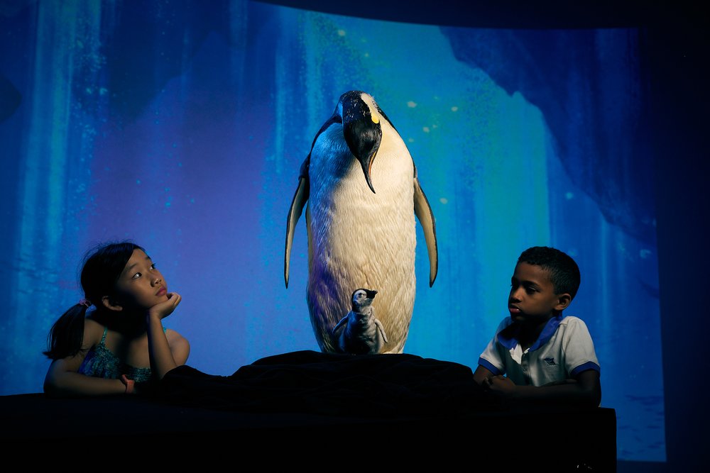 Kids looking at a penguin installation