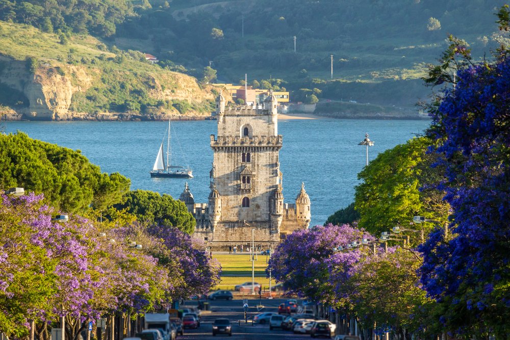 Belém Tower in Lisbon surrounded by purple jacaranda blossoms