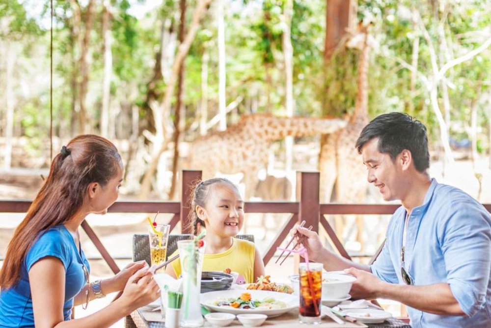 Buổi Trưa - Nghỉ Ngơi Và Dùng Bữa Trong Công Viên