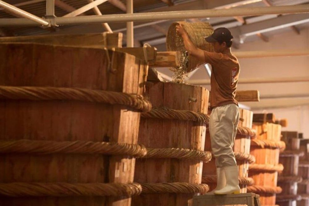 Buổi Sáng - Khám Phá Các Cơ Sở Sản Xuất Đặc Sản Và Làng Nghề Truyền Thống