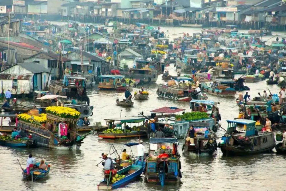 Tour Khám Phá Đồng Bằng Sông Cửu Long Trong Ngày Từ Sài Gòn