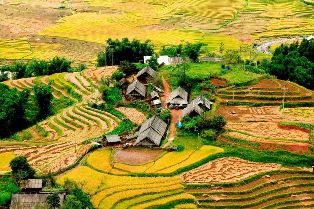 Chiêm Ngưỡng Vẻ Đẹp Tuyệt Mỹ Của Ruộng Bậc Thang